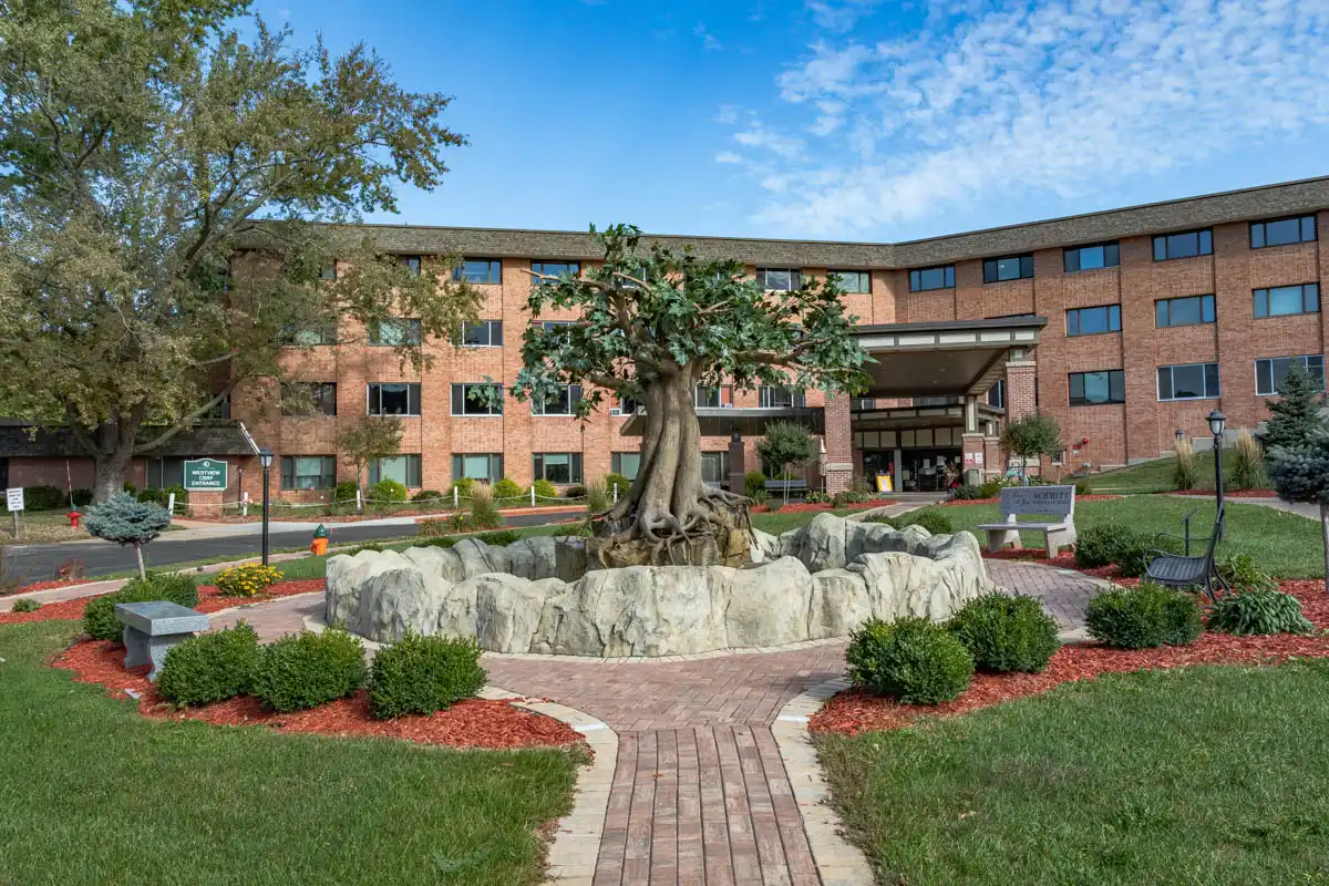 tree-of-life-wide-shot